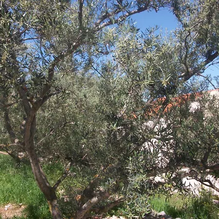 House Sardelić Pensjonat