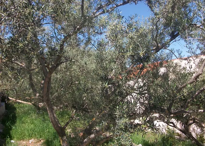 House Sardelić Pensjonat