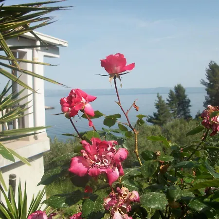 House Sardelic Guest house 3*