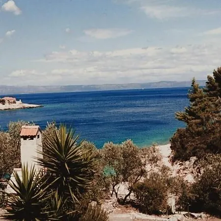 Guest house House Sardelic 3*