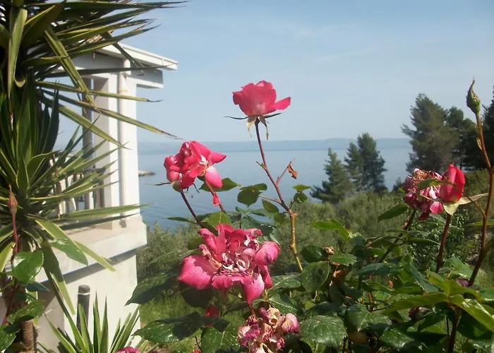 House Sardelić Pensjonat 3*