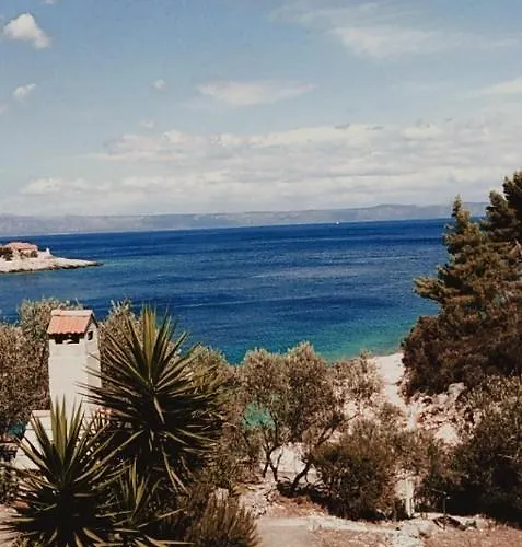 Guest house House Sardelic 3*