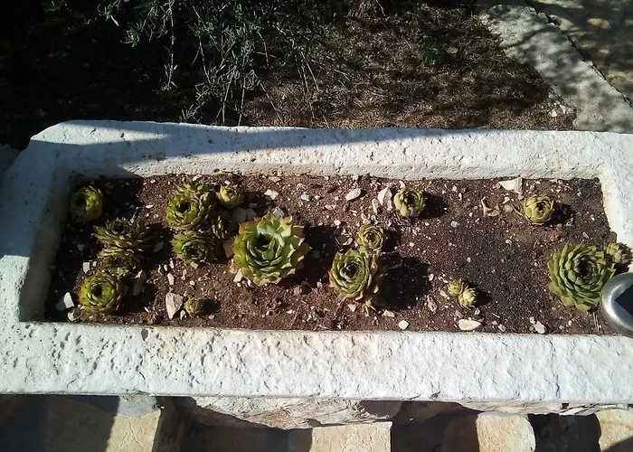 House Sardelic Prigradica